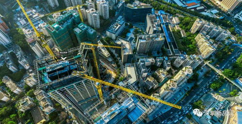 深圳房地產開發 專業人士眼中的機遇與挑戰