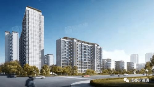 龍泉驛大面板塊再添新活力 德信地產(chǎn)108畝項(xiàng)目穩(wěn)步推進(jìn)